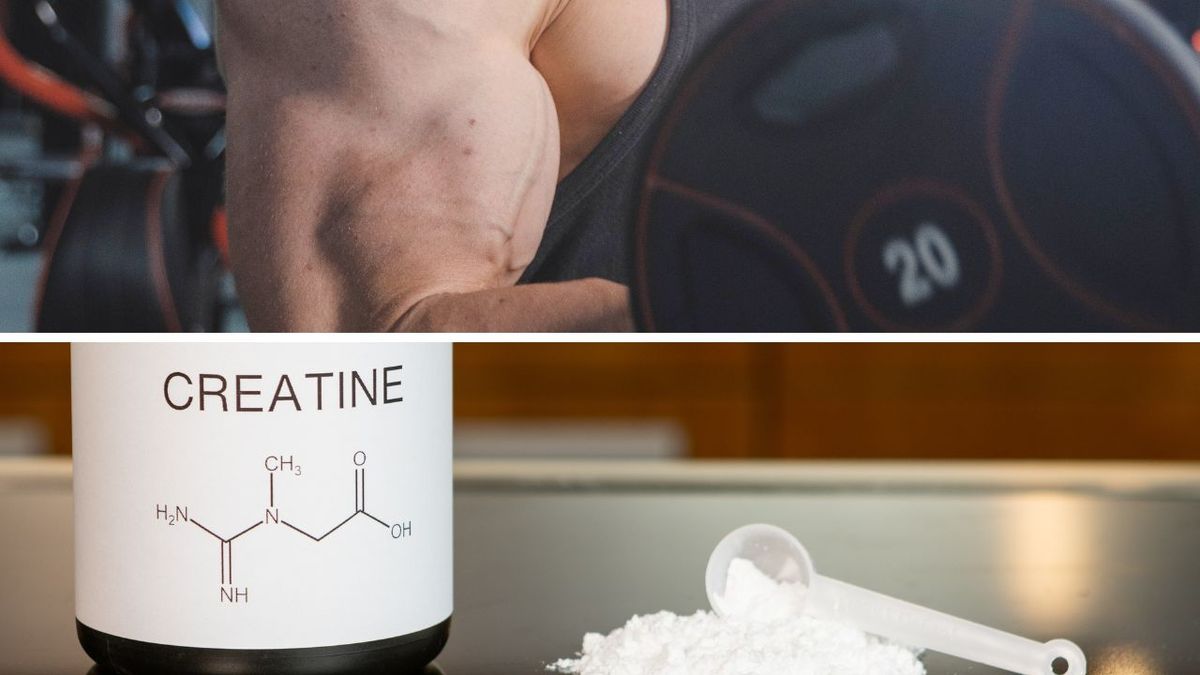 Creatine Before and After. How Your Body Will Change?