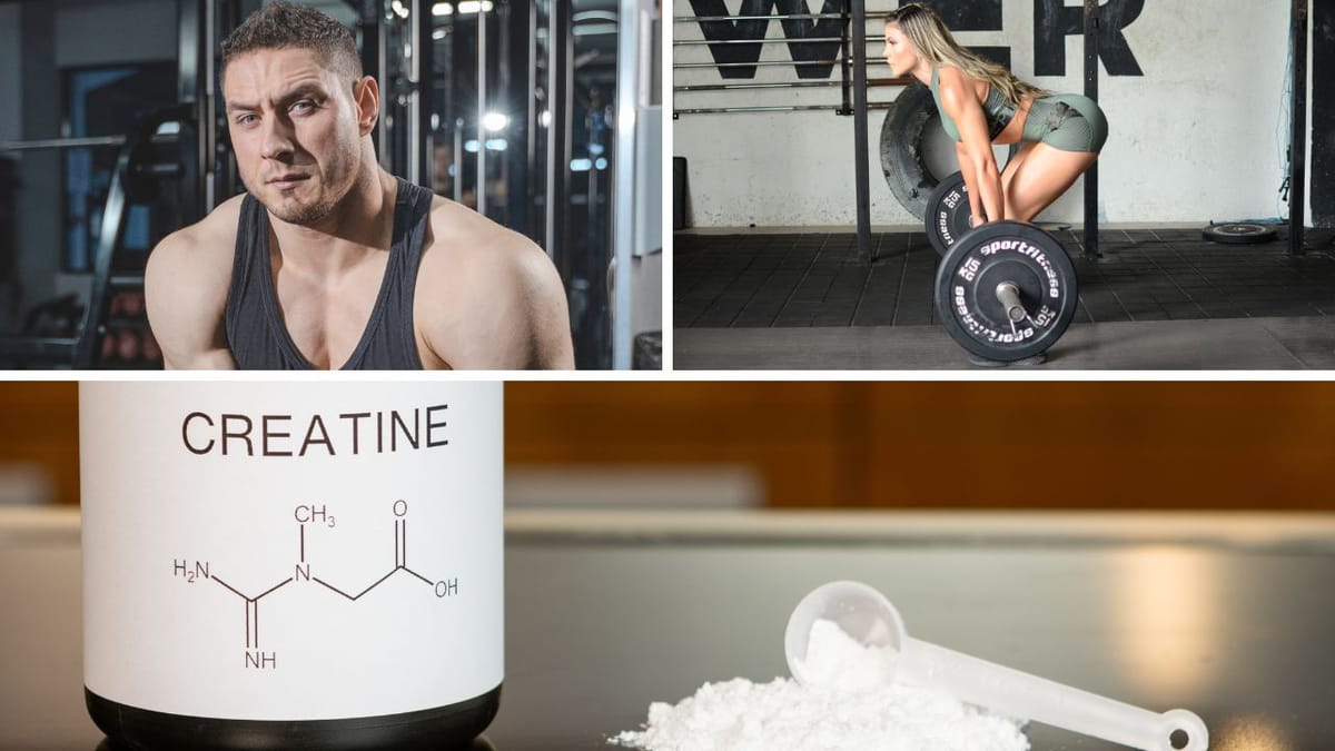What Is Creatine: Benefits, Side Effects, and Precautions